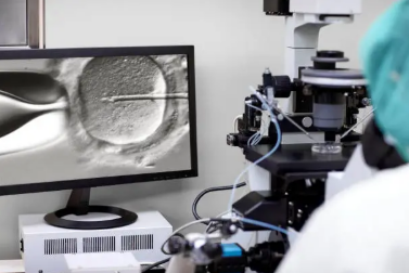 Fertility Screening