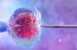 Embryo Freezing